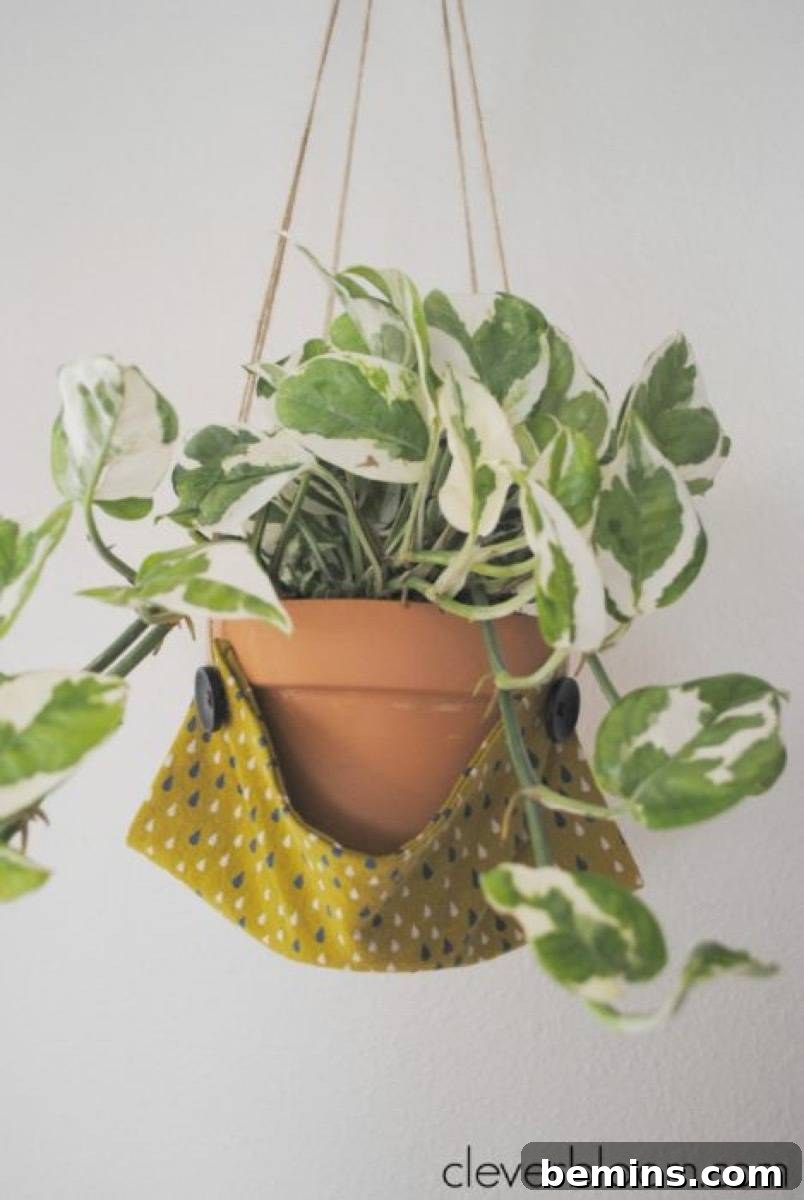 Plant hammock