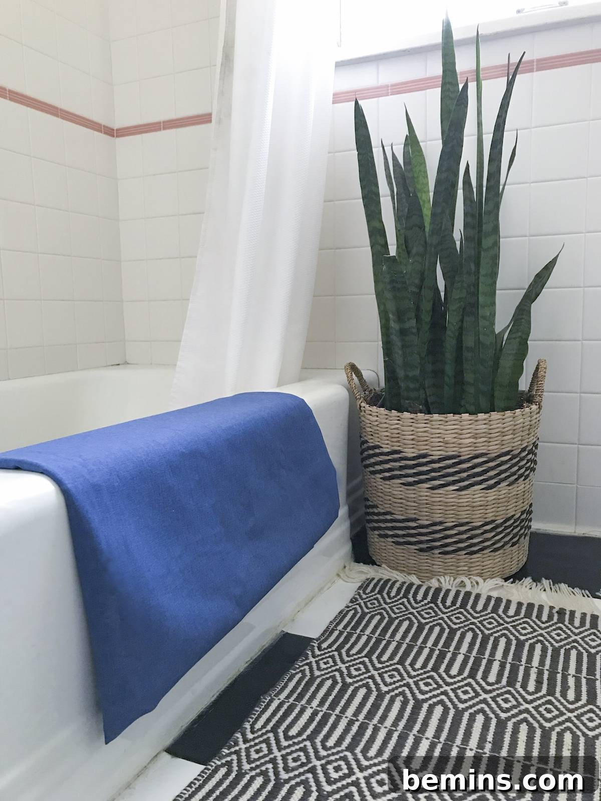 An indoor/outdoor rug runner with a snake plant, thriving in the bathroom's humidity.