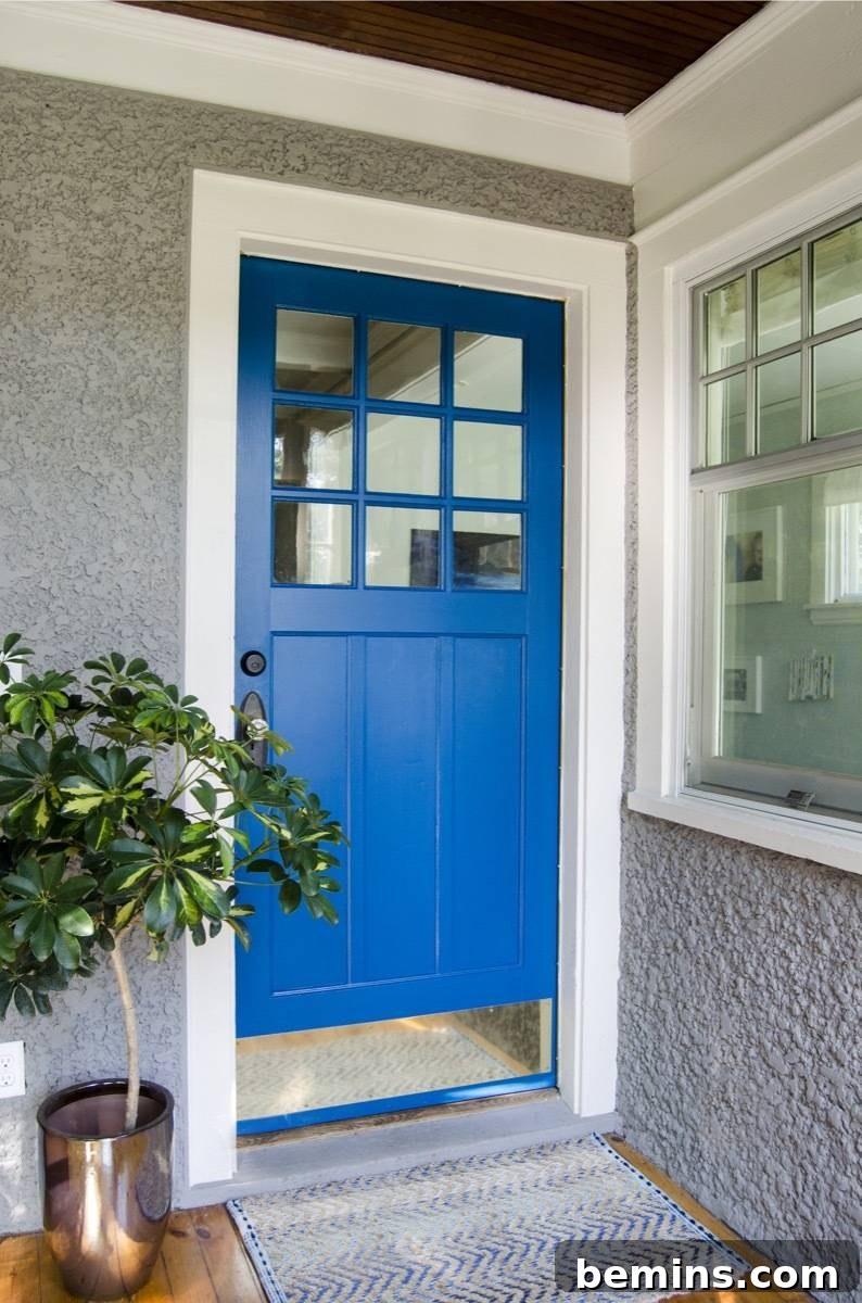 A newly painted blue door positioned near a lush plant, showcasing its fresh and vibrant appearance.