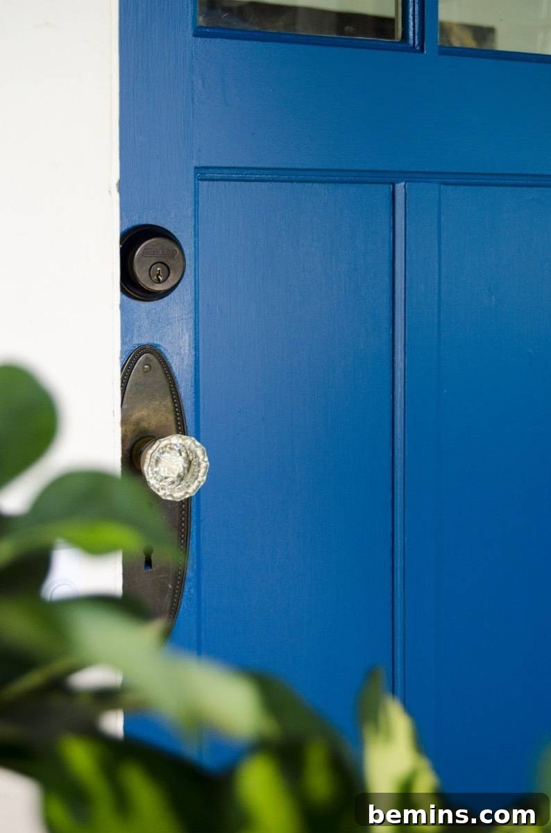 A blue door with a sleek black handle, partially hidden behind a lush green bush, adding a touch of mystery and charm.