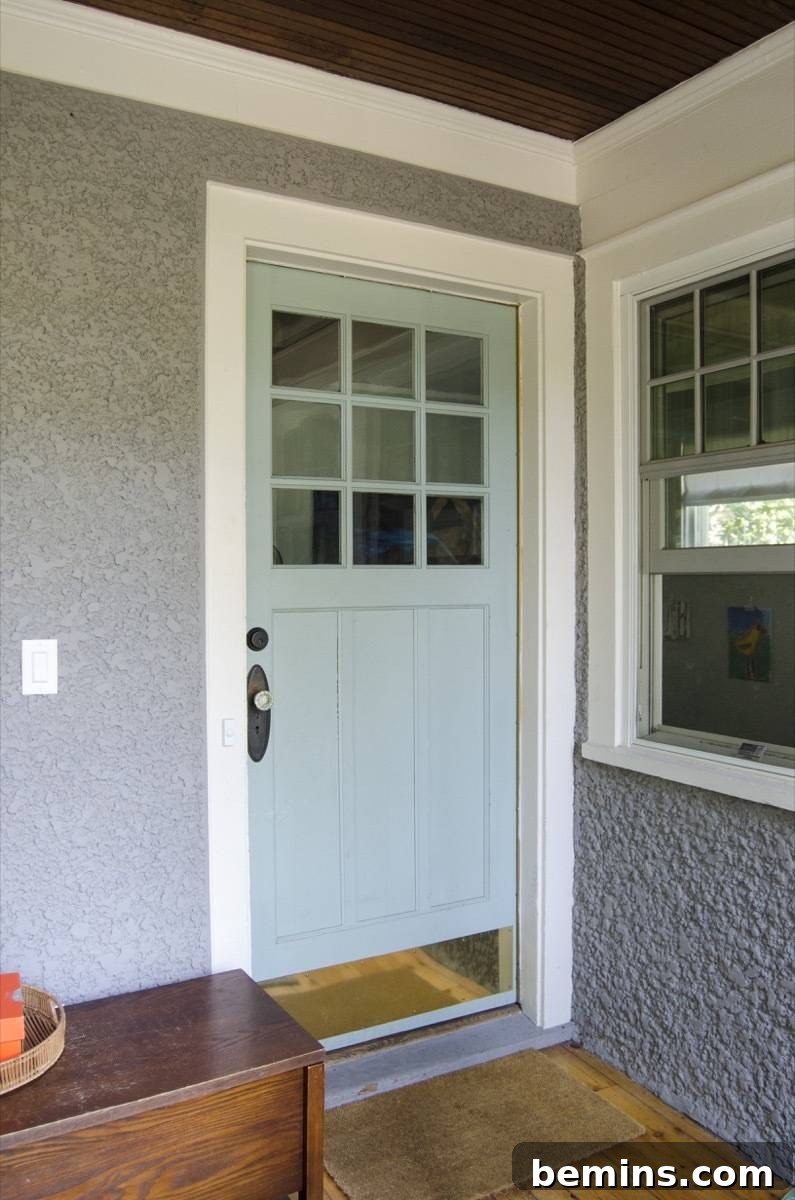 A Striking Entrance: A Front Door Transformation with Sherwin-Williams' 2018 Color Palette 5 A light blue door with nine small windows, serving as the 'before' image for the front door transformation project.
