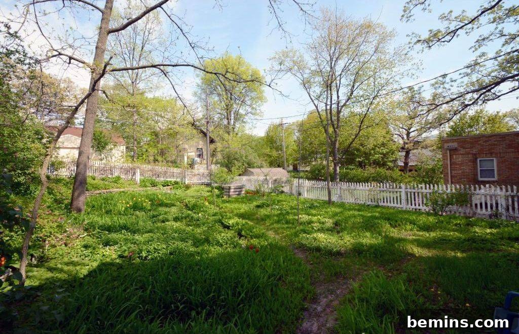 Green land with white fence and dry trees.