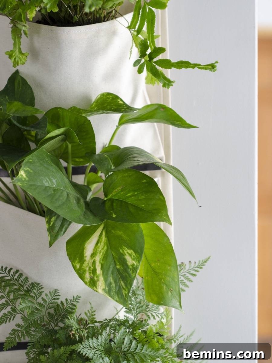 Stylish DIY fabric hanging planter adding greenery to a wall