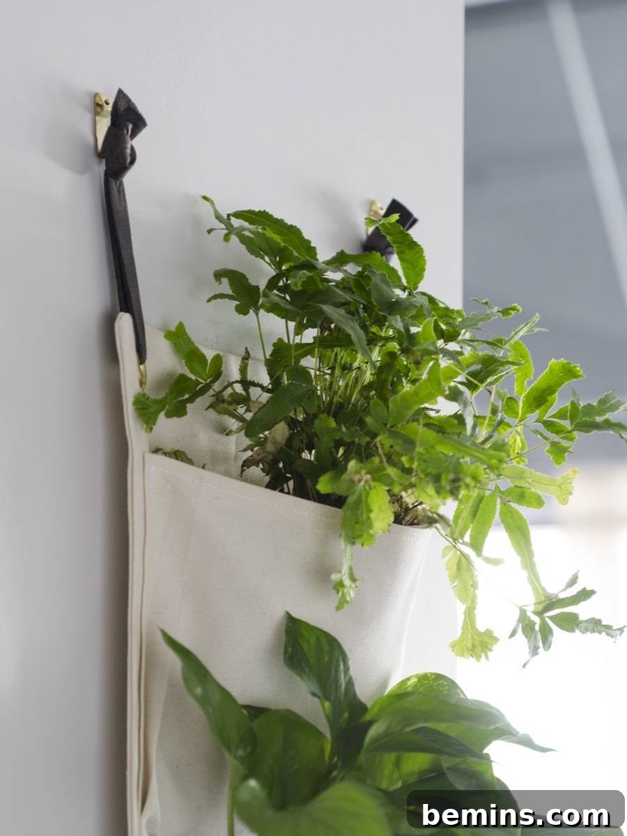 Handcrafted fabric hanging plant holder in a modern home setting