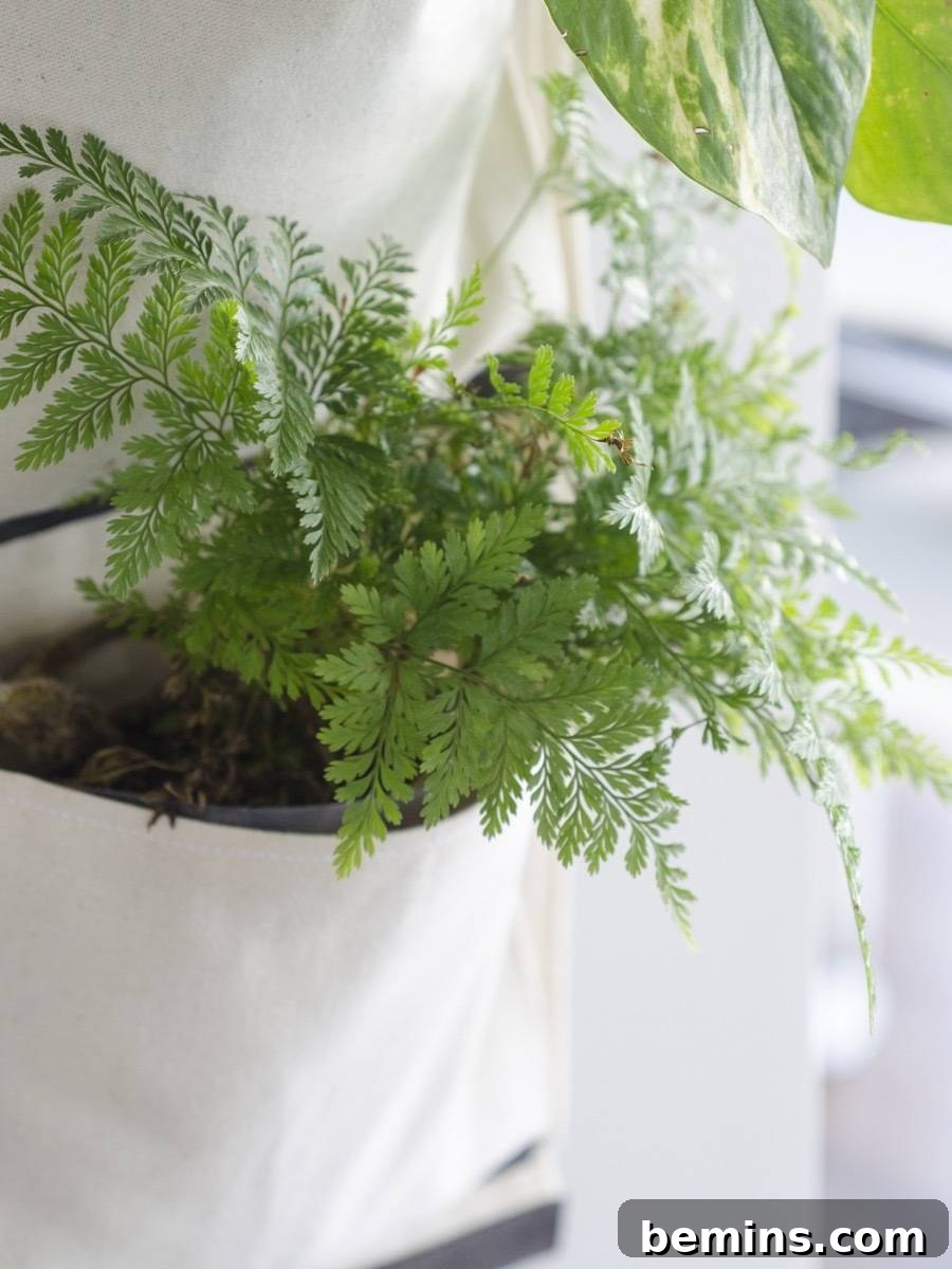 Vibrant green plants flourishing in a DIY hanging fabric planter