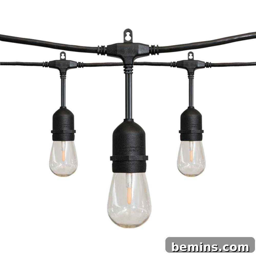 LED String Lights: Stylish Lighting for Your Fall Backyard