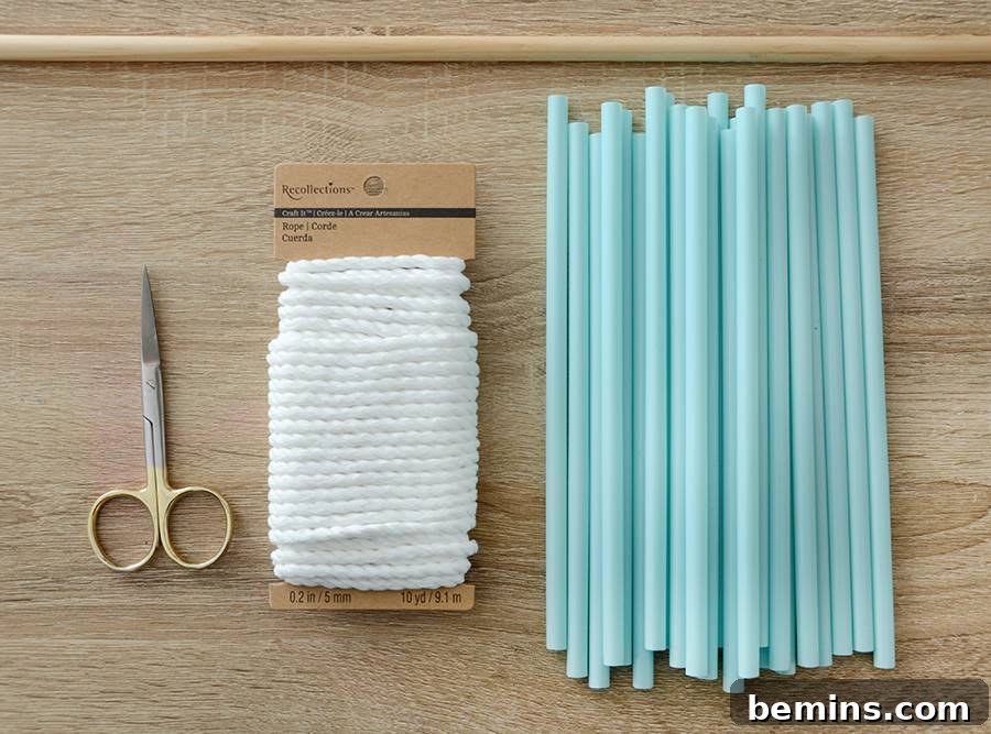 Detailed View of DIY Straw and Rope Wall Hanging Craft