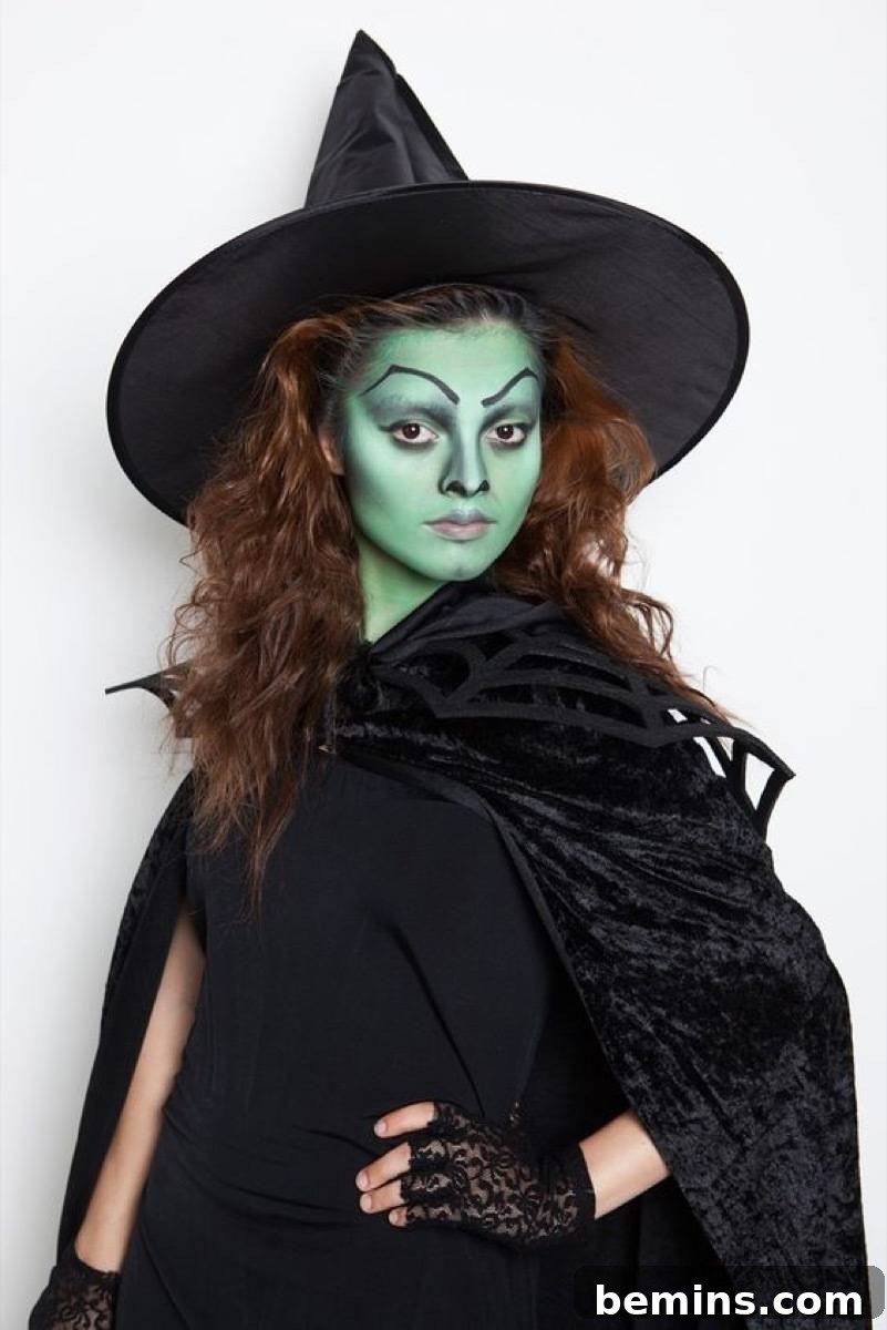 Wicked Witch Costume