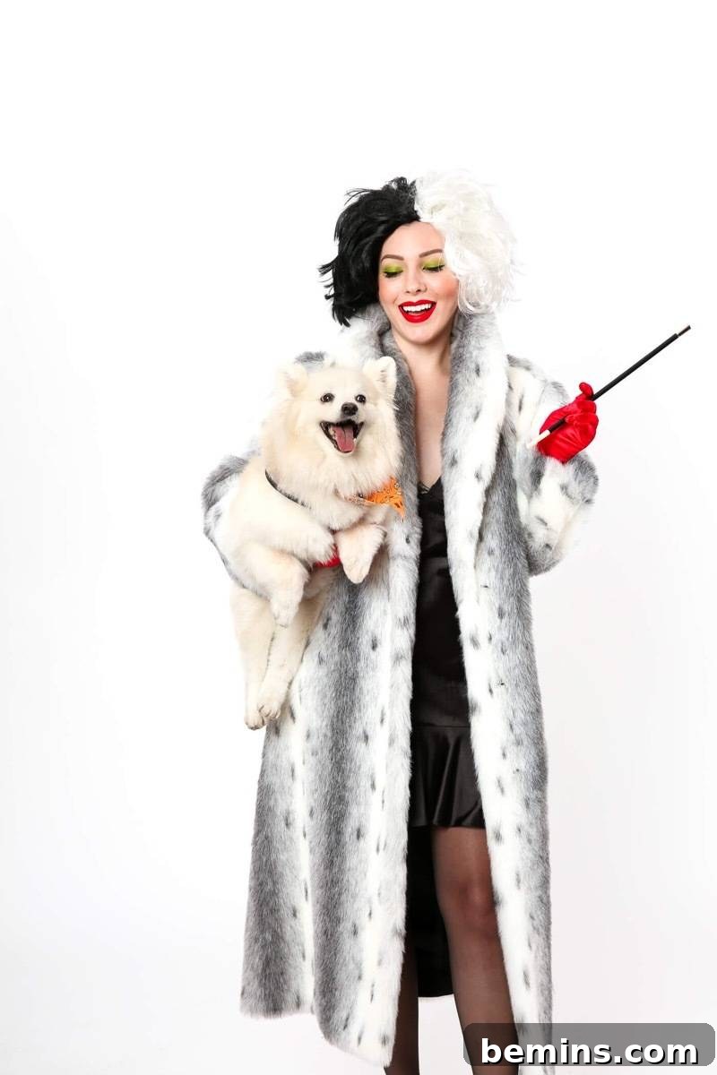 Cruella de Vil Costume Idea