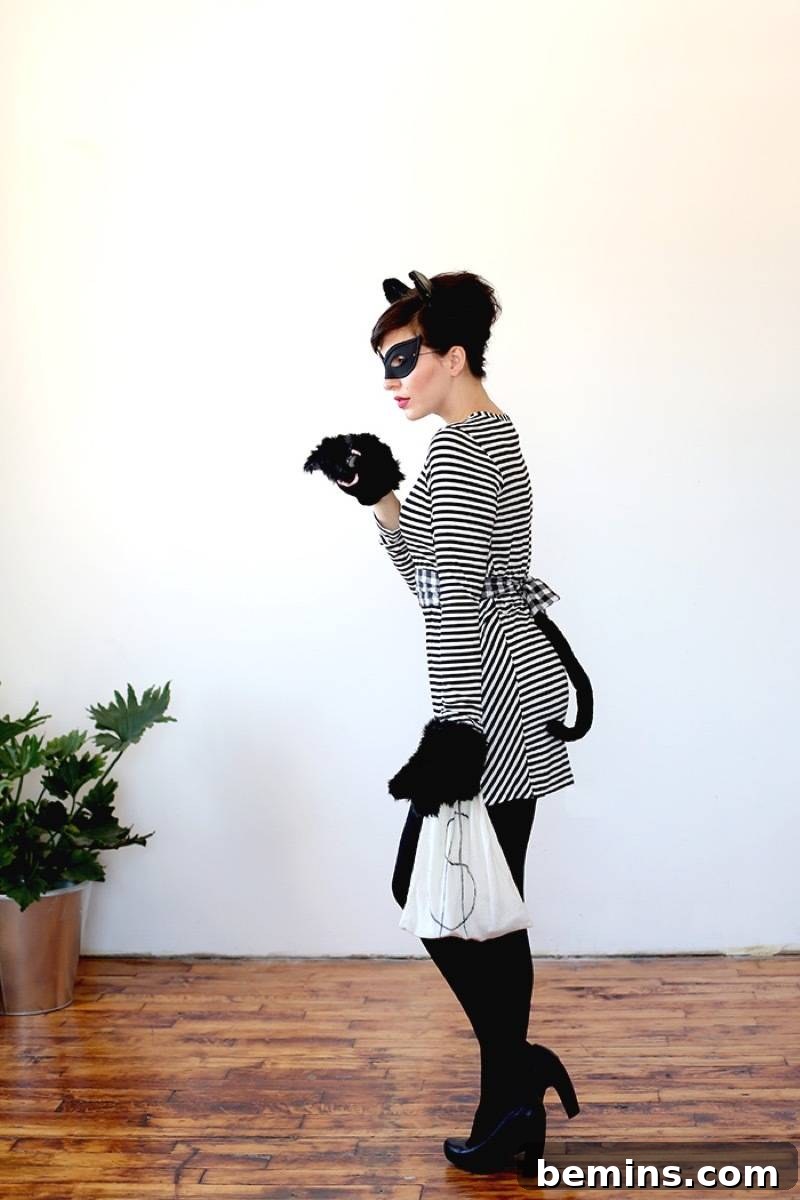 Cat Burglar Halloween Costume