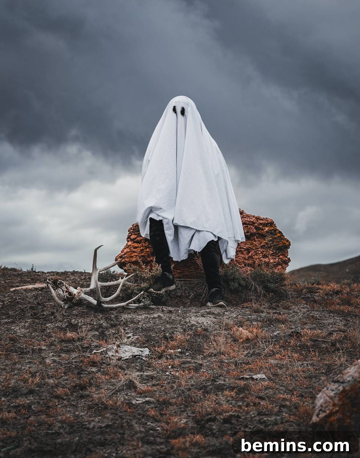 The Spooky Soundscape: Crafting the Ultimate Halloween Playlist 5 Person in white robe standing on brown dried leaves during daytime