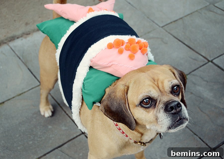 DIY Sushi Halloween Costume For Your Dog