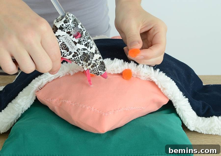 Assembling the Sushi