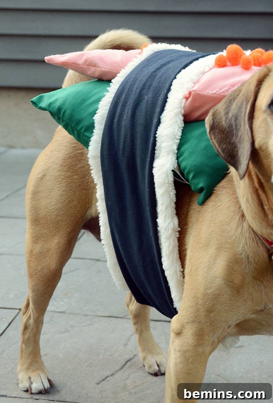 Finished Sushi Dog Costume