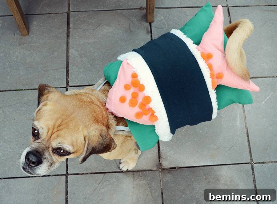 Sushi Dog Costume Side View