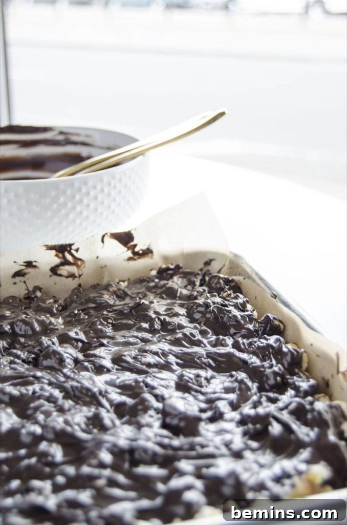 Halloween Bark Melted Chocolate