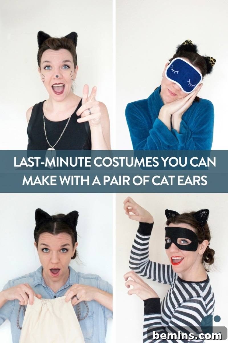 Whip Up 5 Quick Costumes With Just Cat Ears 13 Quick and Easy Halloween Costume Ideas for Cat Lovers - Featuring Cat Ears