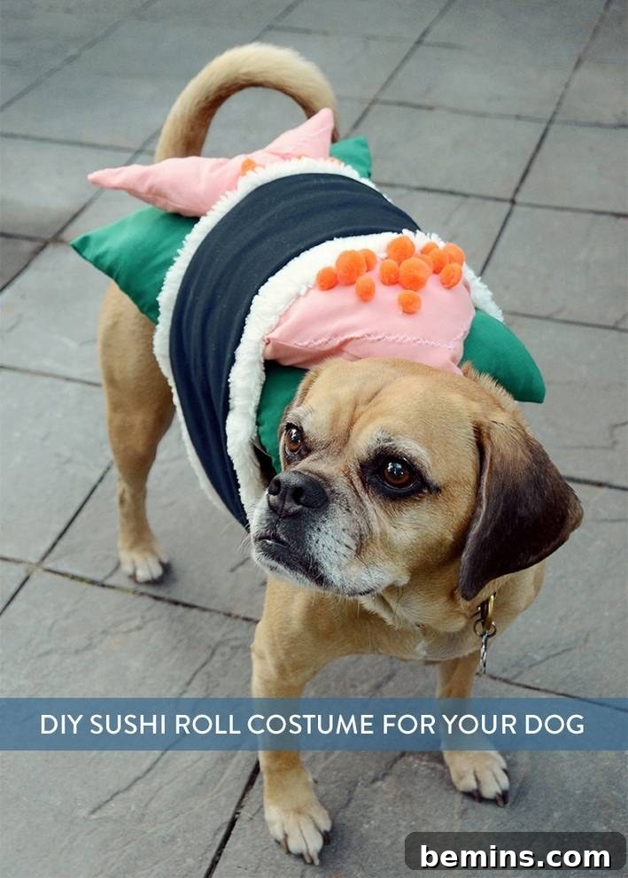 Whip Up 5 Quick Costumes With Just Cat Ears 14 DIY Sushi Halloween Costume for Dogs - Adorable Pet Outfit Idea