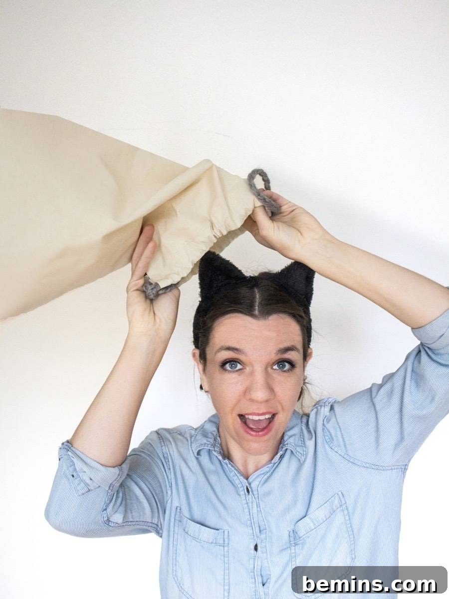 Whip Up 5 Quick Costumes With Just Cat Ears 6 Creative Cat's Out of the Bag Costume - How to Make with a Sack and Cat Ears