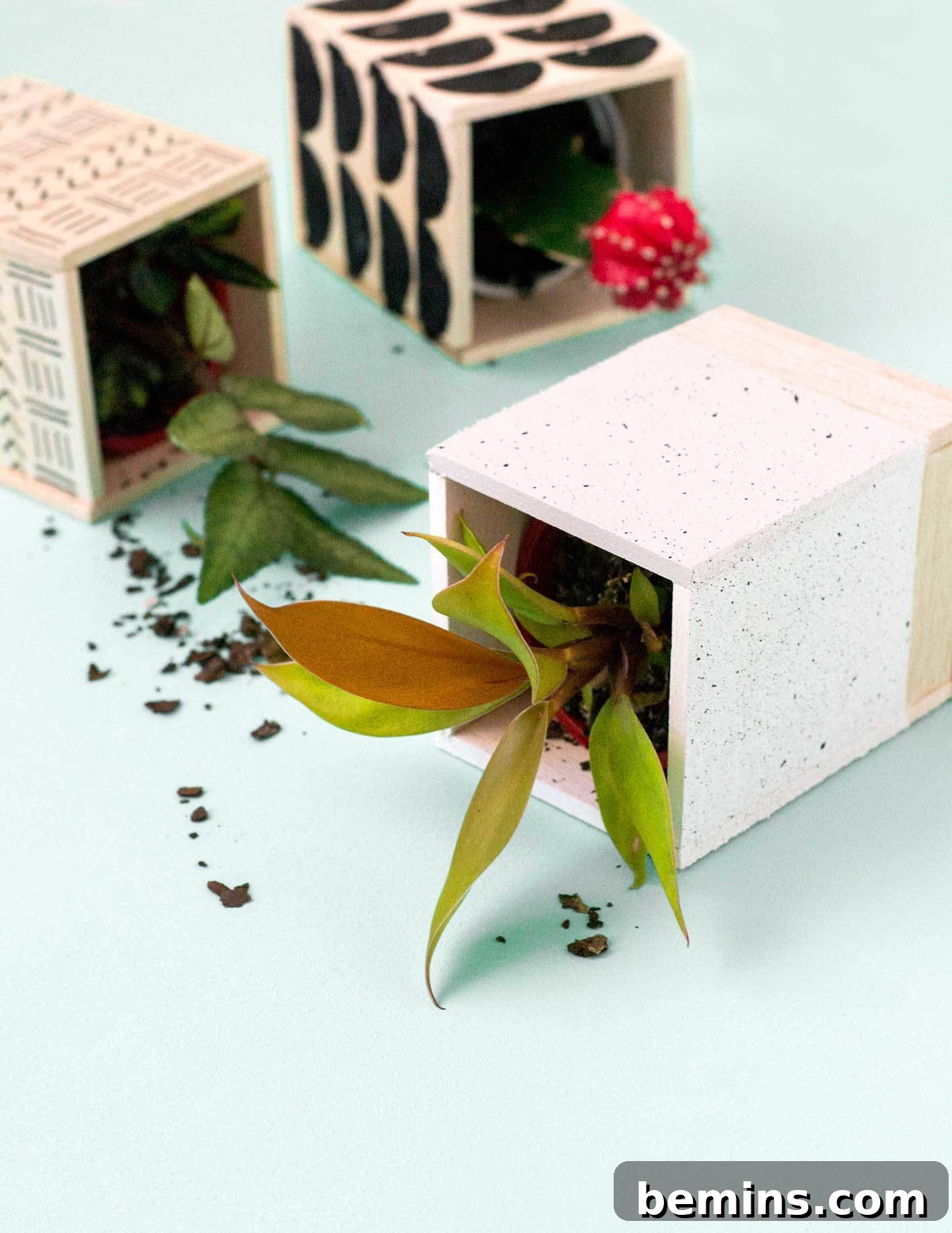 Balsa wood planters enhance your plant display