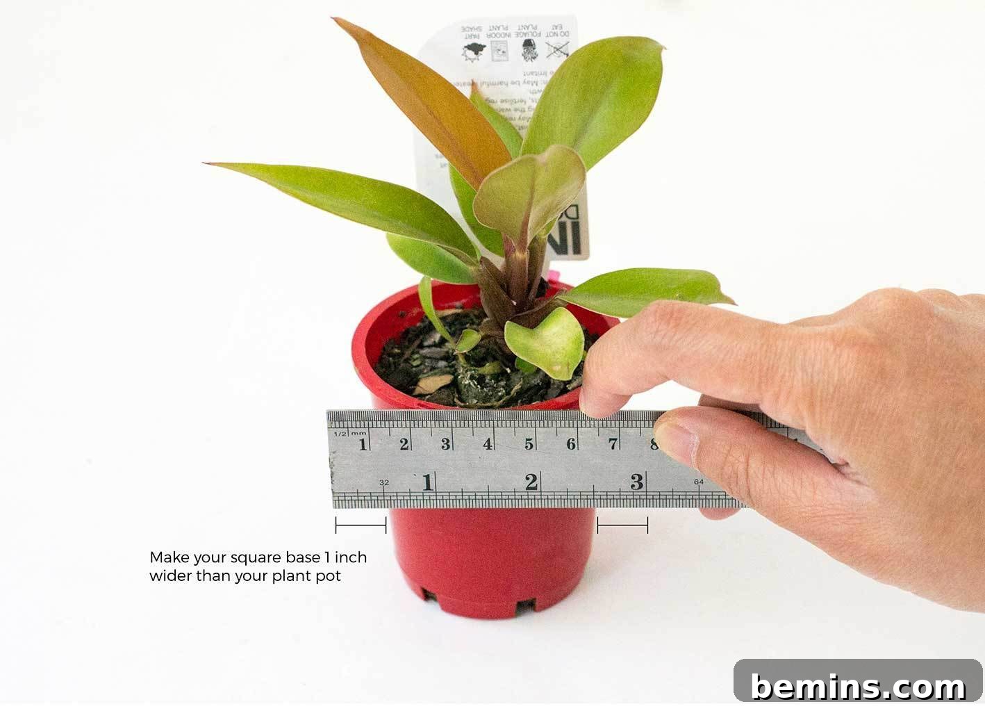 Determine the base size of your balsa wood planter