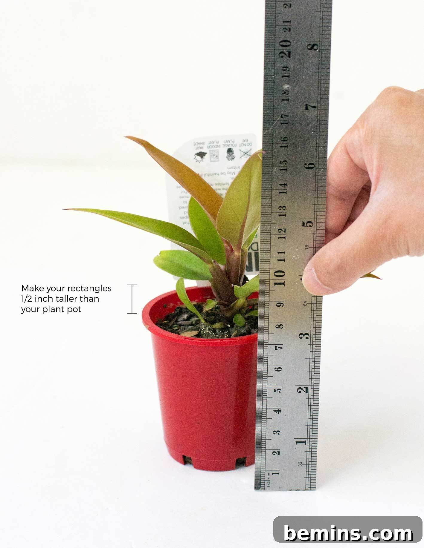 Balsa wood planter dimensions