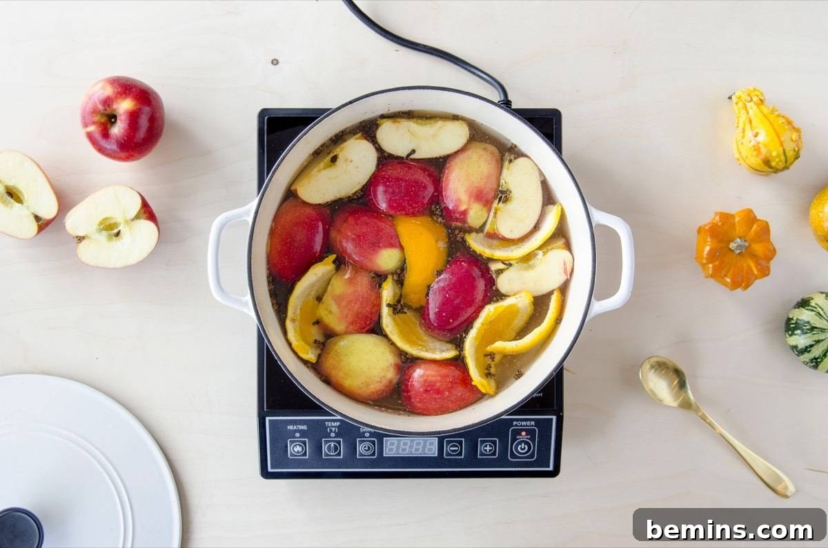 Mulling Spice Simmer Pot Recipe | Fill your home with the scents of the season