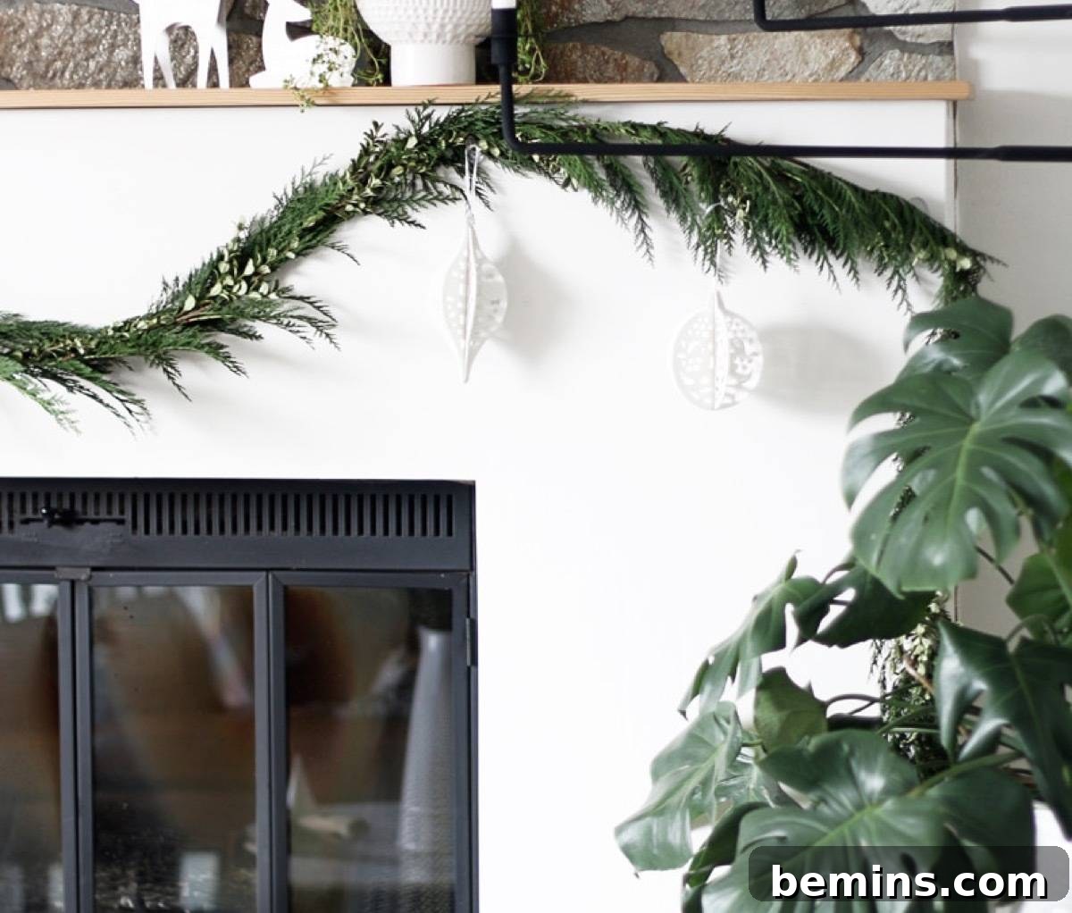 Classic evergreens