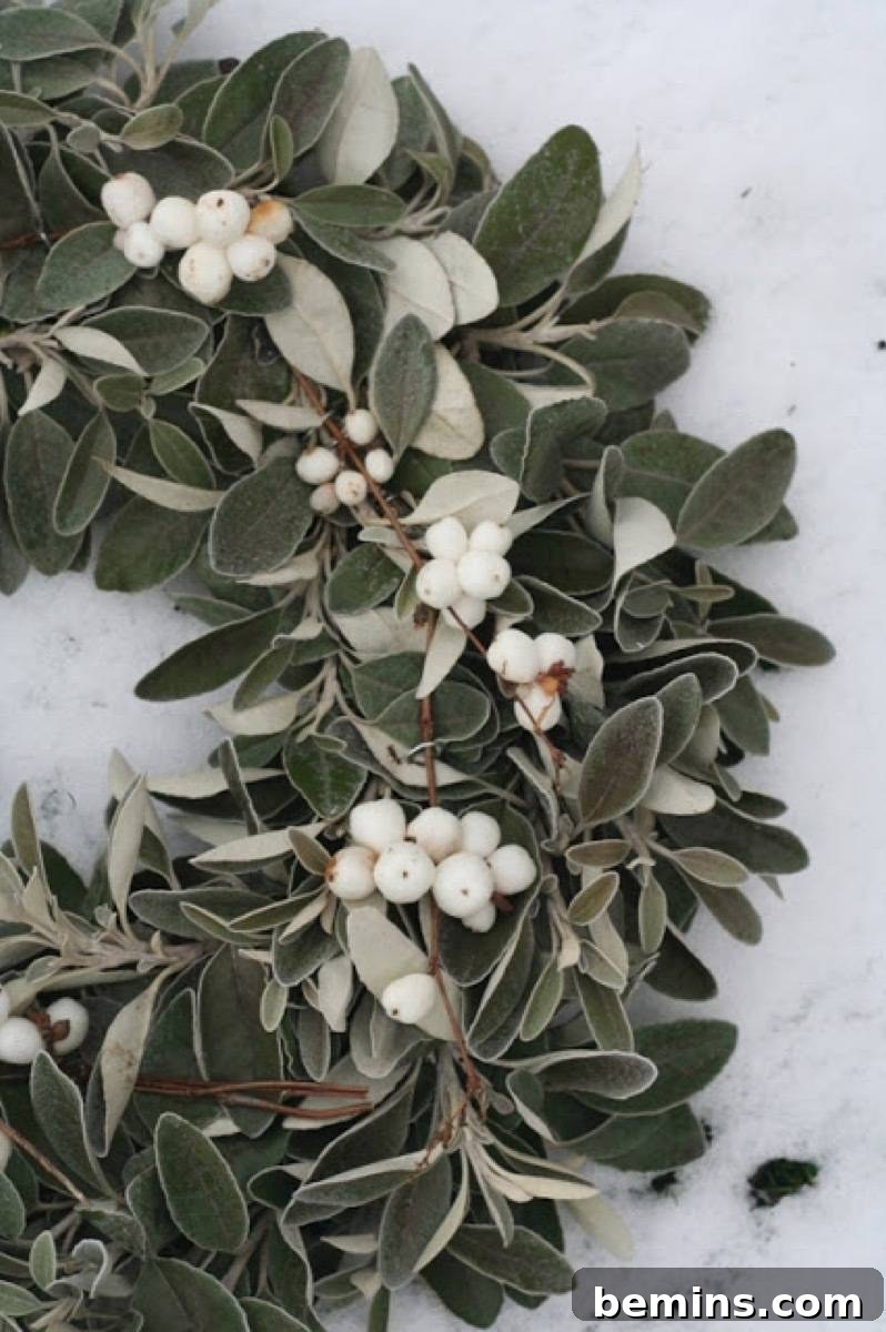 White berry wreath