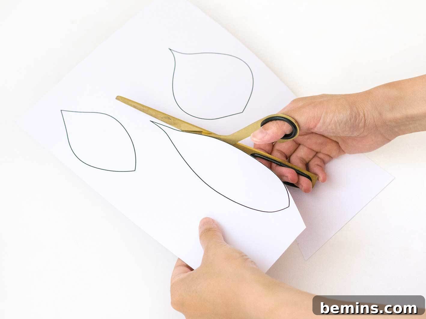 Tracing leaves onto colored paper