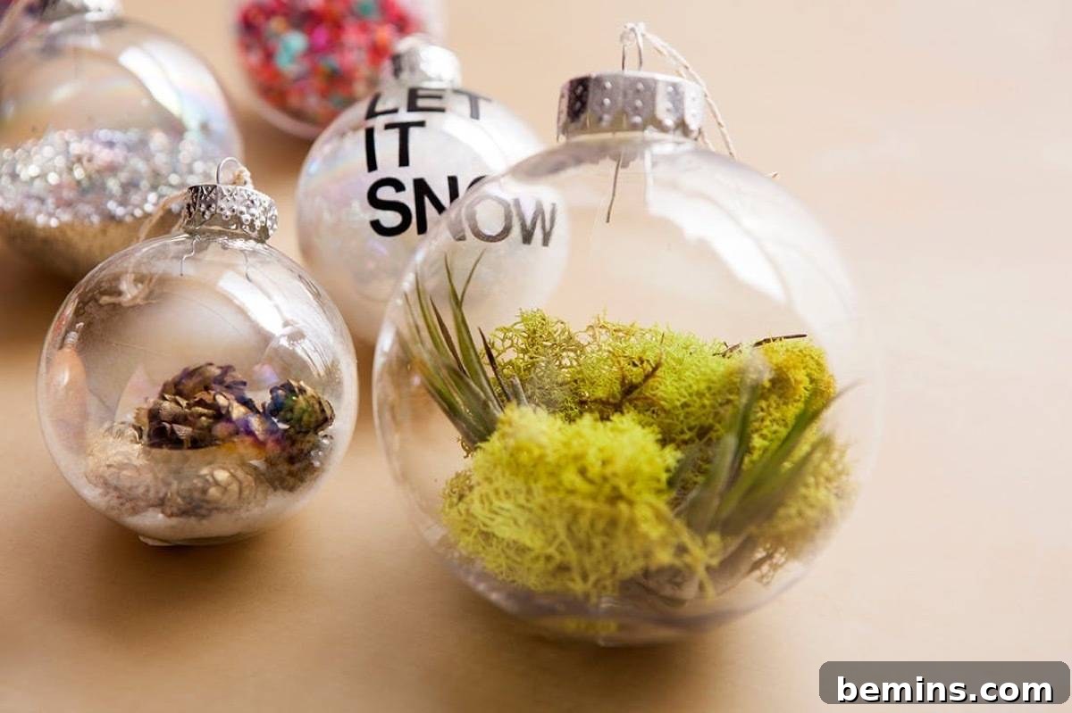 Terrarium in a Bulb