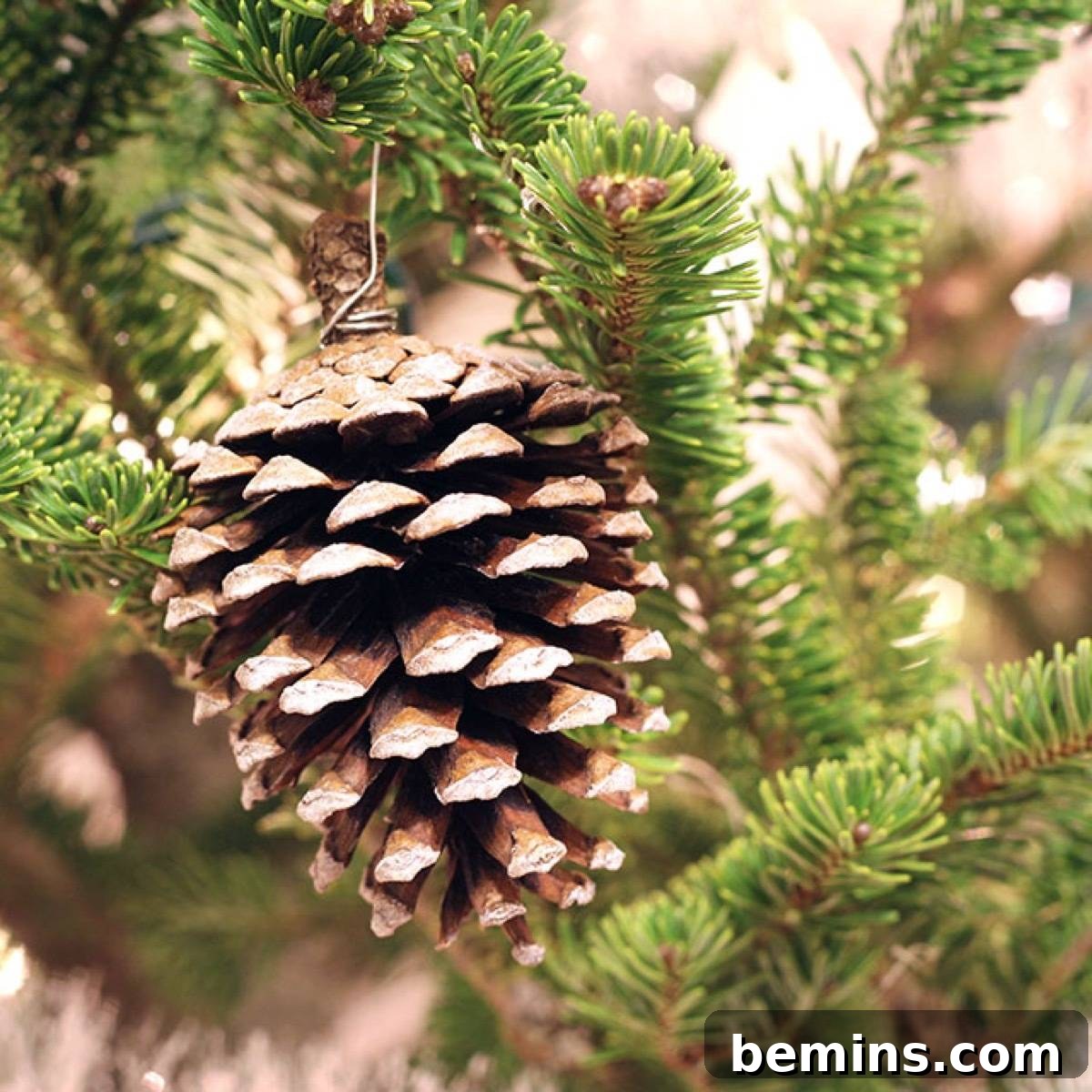Frosted Pinecones