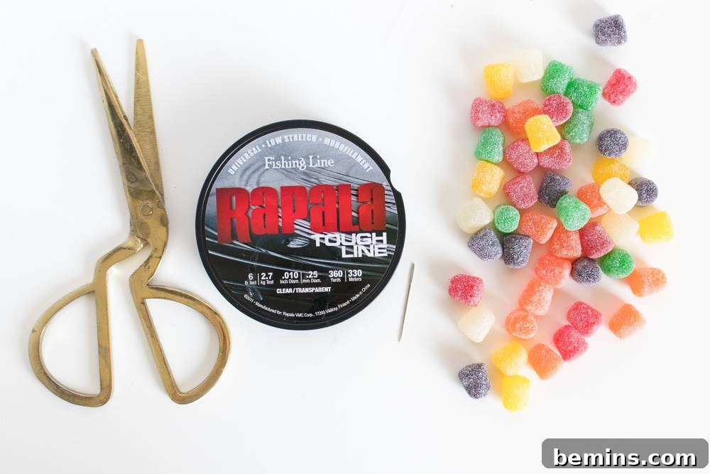 Fishing line, Scissors and Gum Drops on a white backdrop.