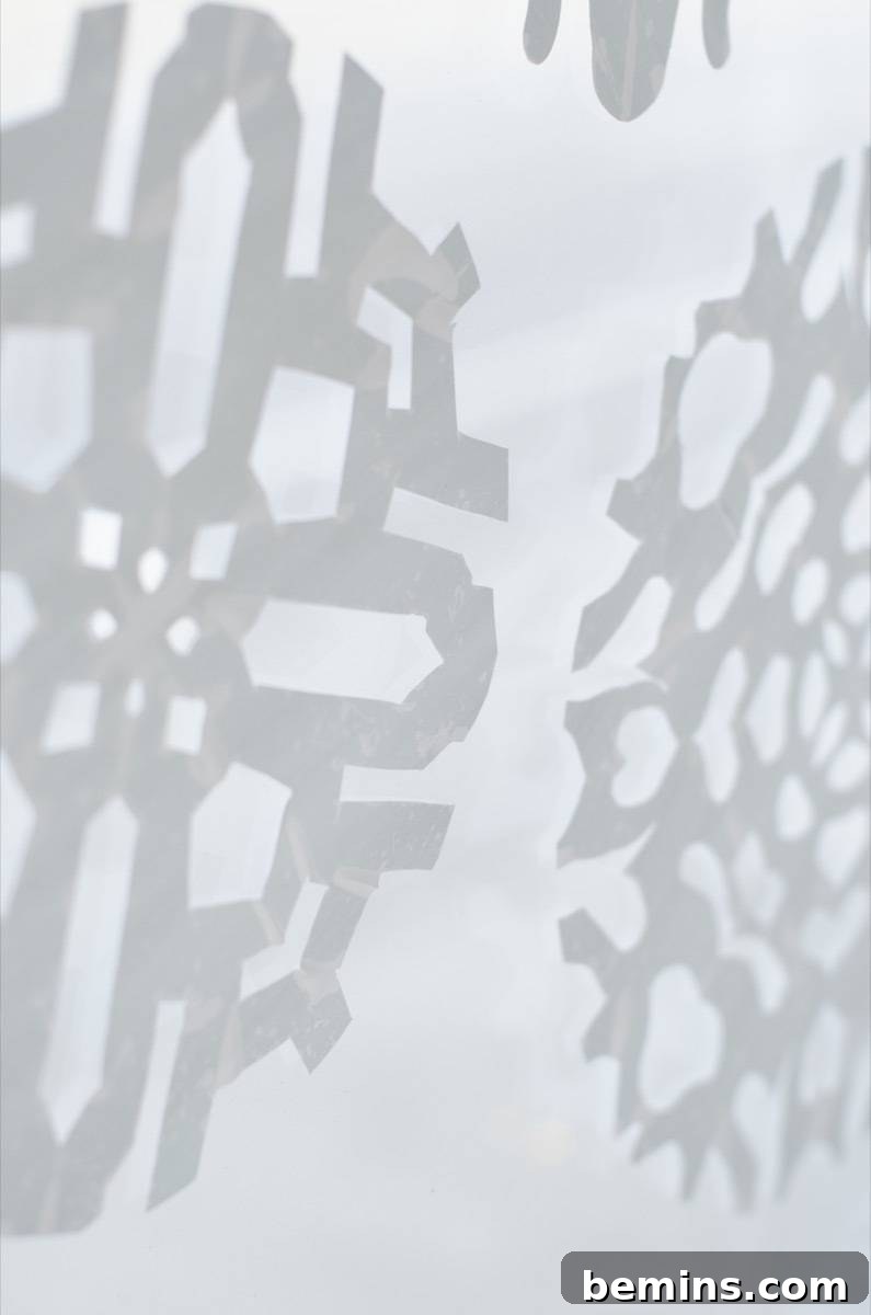 DIY window decals made from shelf liner