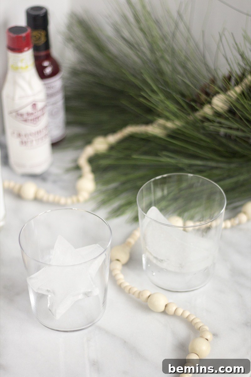 Make Your Drinks Fun with Cookie Cutter Ice Cubes 2 Make Holiday Cocktail Ice Cubes