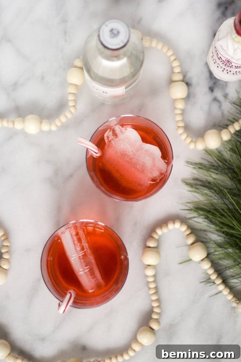 Make Your Drinks Fun with Cookie Cutter Ice Cubes 11 Making Fun Ice Cubes for the Holidays