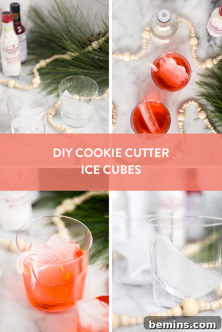 DIY Holiday Ice Cubes