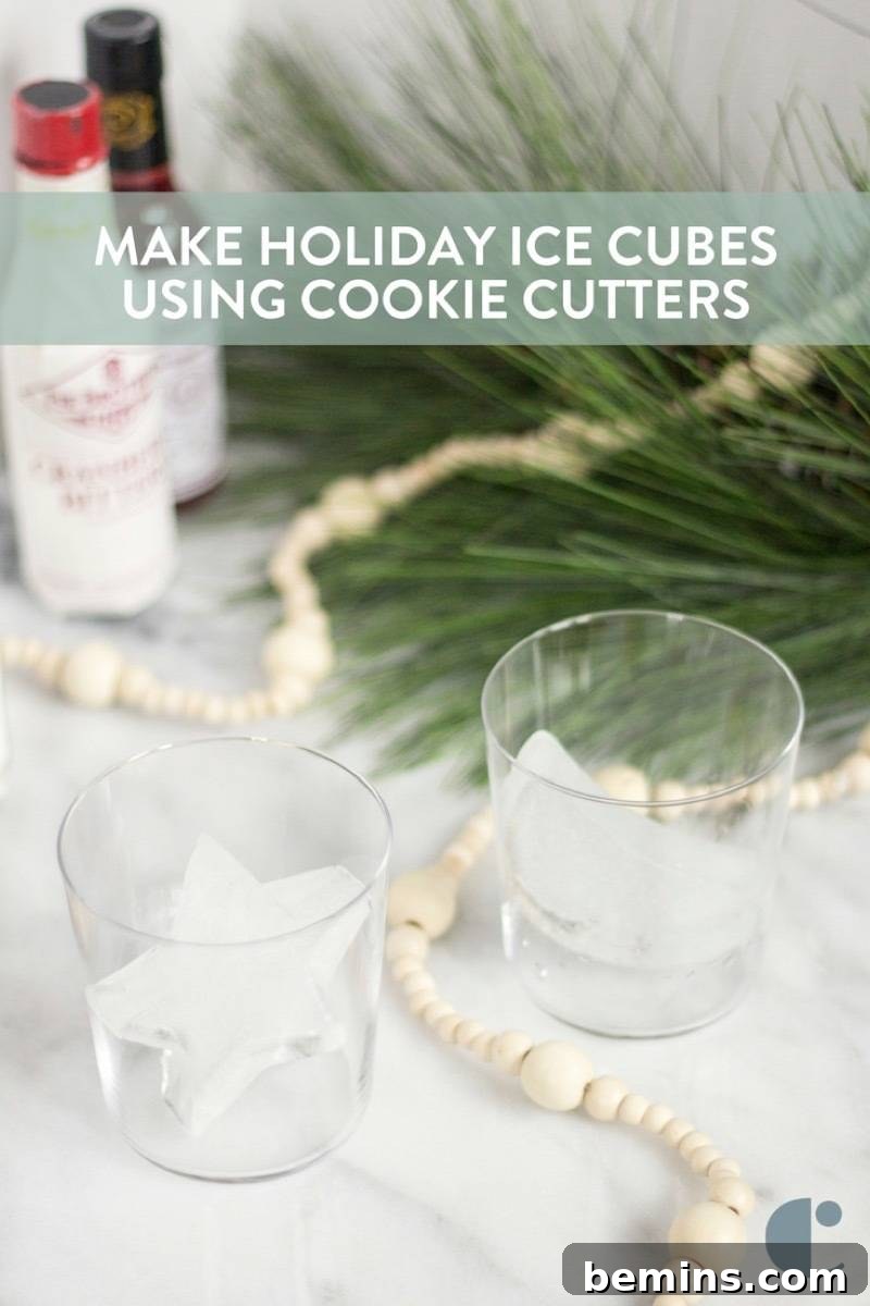 Make Your Drinks Fun with Cookie Cutter Ice Cubes 13 Christmas Cocktail Party Ice Cubes