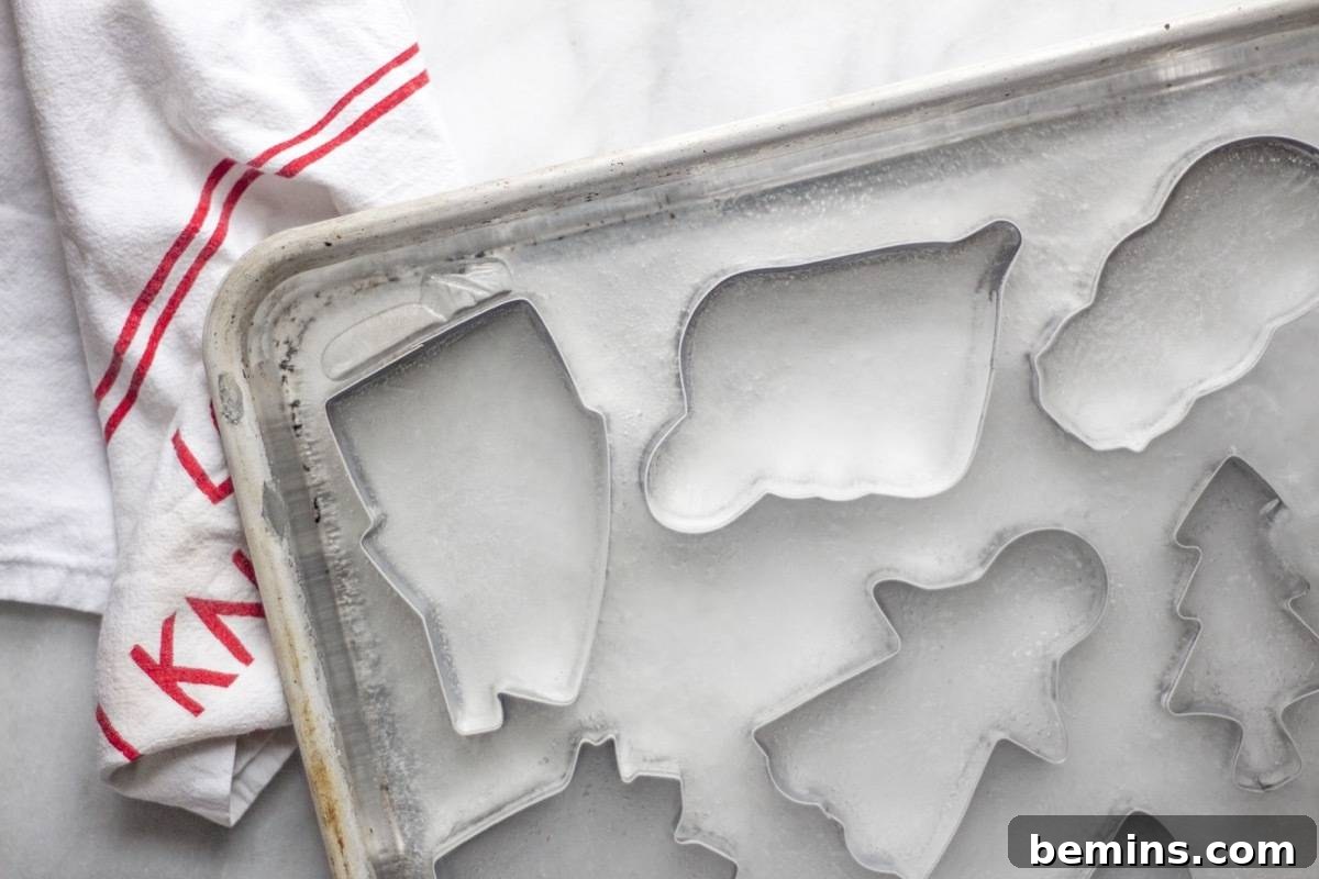 Make Your Drinks Fun with Cookie Cutter Ice Cubes 4 Holiday Cocktail Ice Cubes Step 1