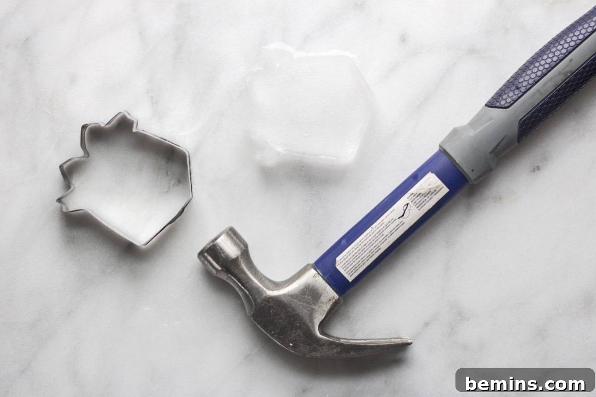 Make Your Drinks Fun with Cookie Cutter Ice Cubes 5 Holiday Cocktail Ice Cubes Step 2