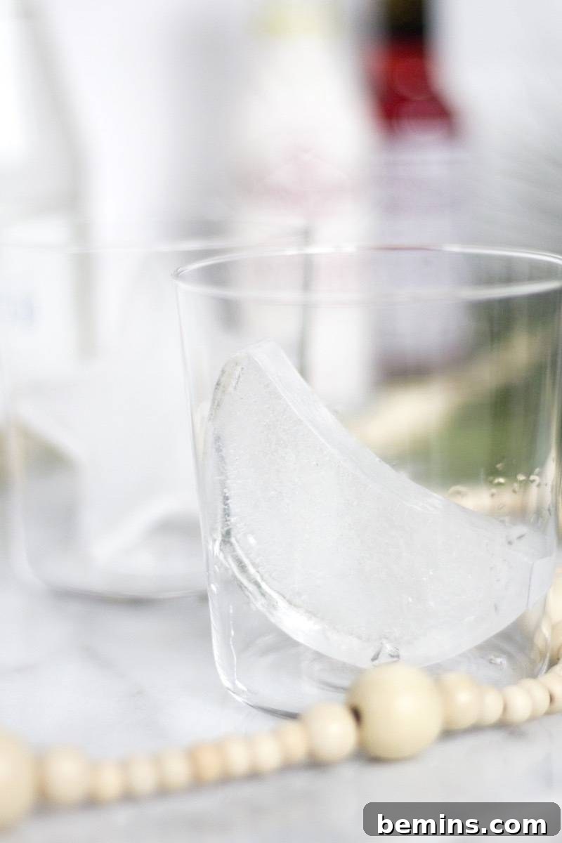 Holiday Cocktail Ice Cubes Preparation