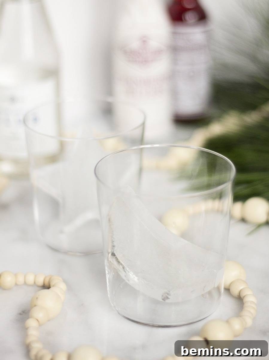 Make Your Drinks Fun with Cookie Cutter Ice Cubes 8 Ice Cubes Made Using Cookie Cutters