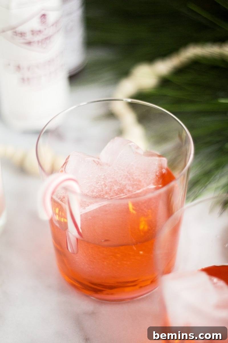 Make Your Drinks Fun with Cookie Cutter Ice Cubes 9 DIY Ice Cubes Using Cookie Cutters
