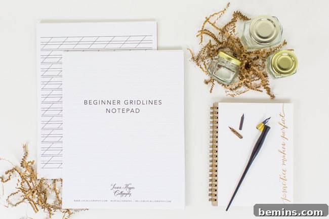 Calligraphy Starter Kit by Laura Hooper Calligraphy