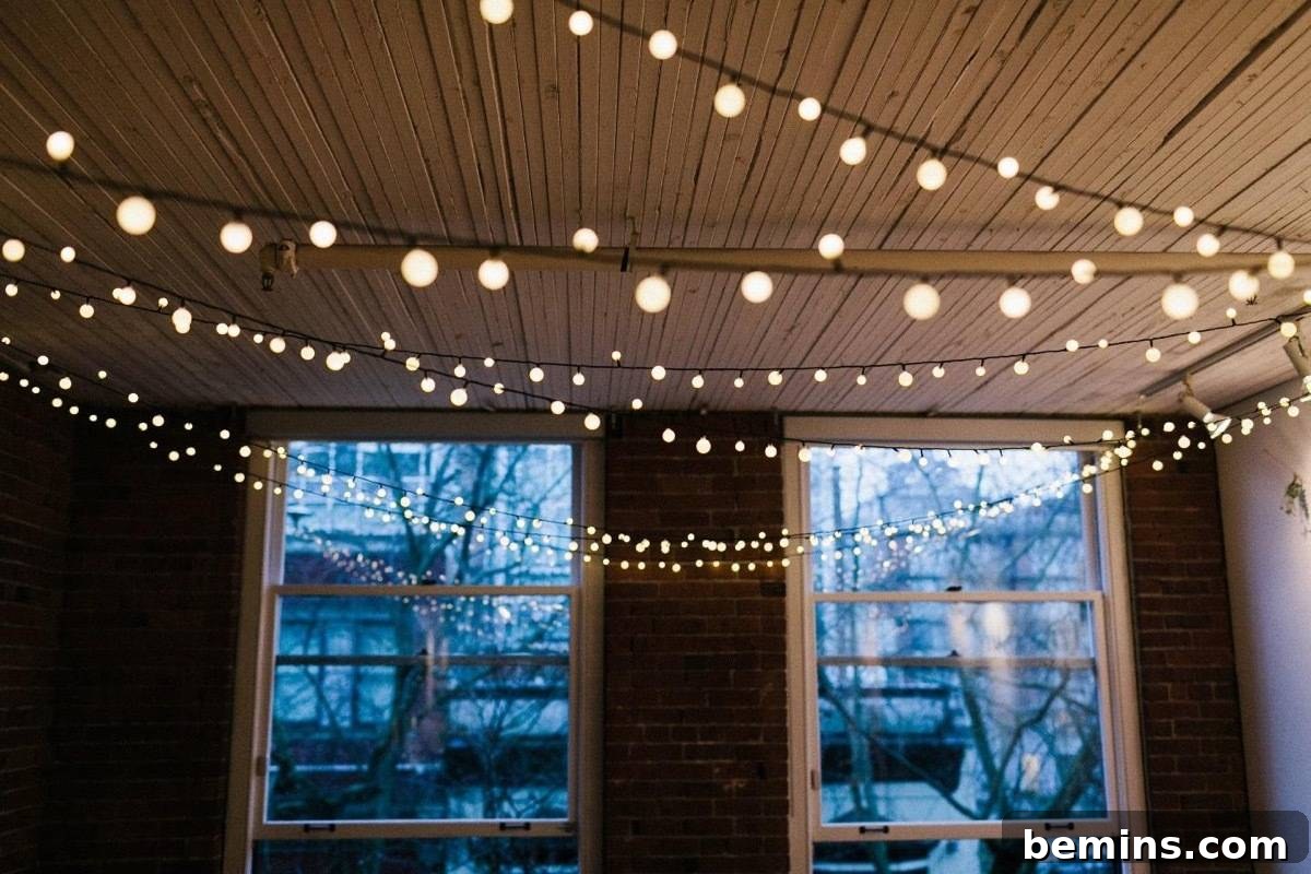 Fairy Lights