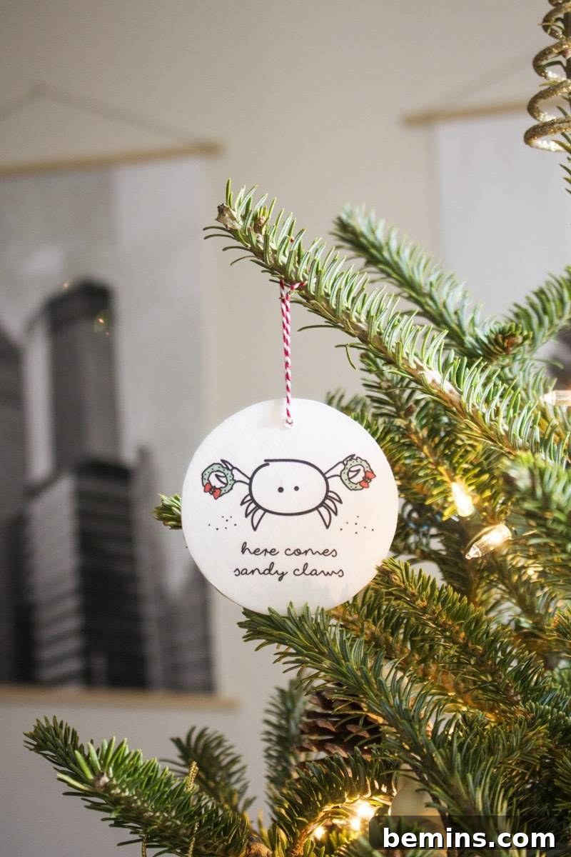 Here comes Sandy Claws! | Silly DIY animal ornaments