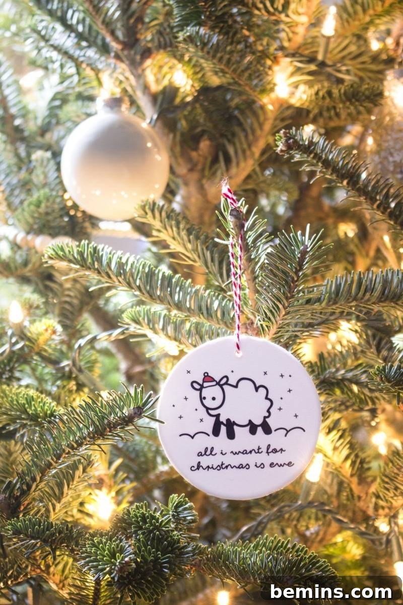 All I want for Christmas is... EWE!