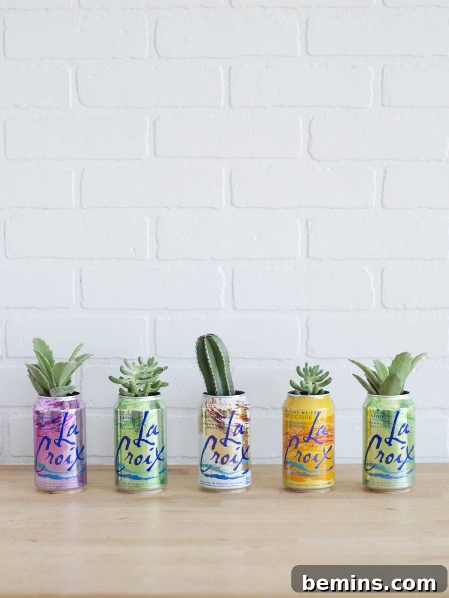 Our Top 15 DIY Projects That Shined in 2017 14 La Croix Can Planters DIY
