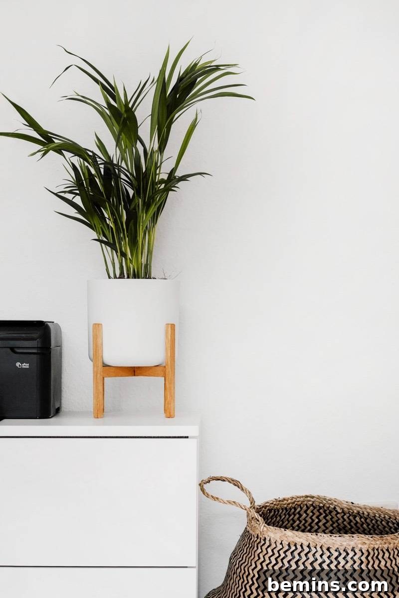 13 Items to Declutter From Your Home Today 4 Throw away old socks