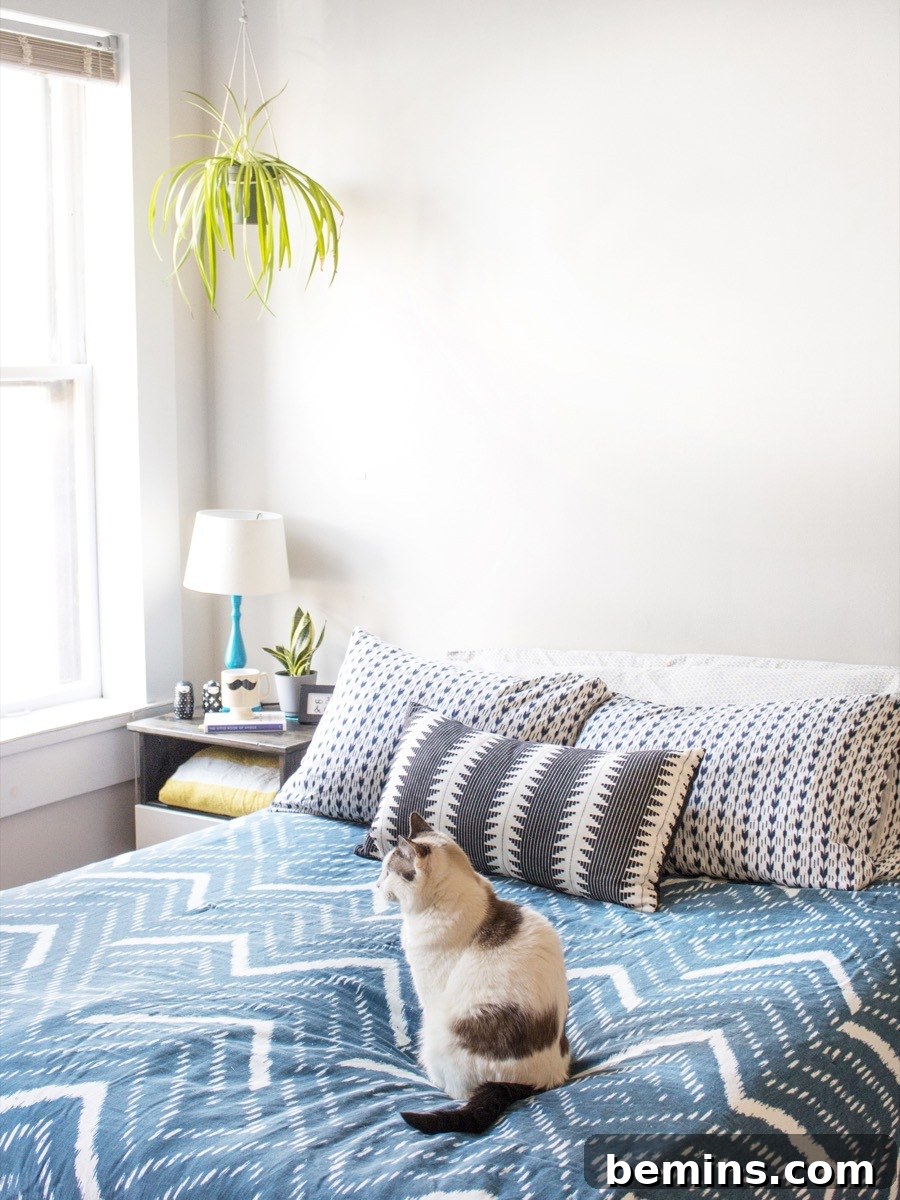 Cleaning Your Mattress: A step by step guide